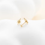 14K Solid Gold Star Threadless Cartilage Flat Back Stud Earring
