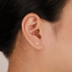14K Solid Gold Dolphin Threadless Push Pin Labret Stud