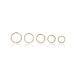 14K Solid Gold Lab Diamond Daith Septum Hoop  Hinged Seamless Clicker 16G