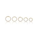 14K Solid Gold Lab Diamond Septum / Daith Clicker Hoop • 16G Nose Piercing Jewelry
